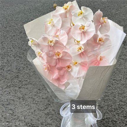 Pale Pink Phalaenopsis Orchids Bouquet