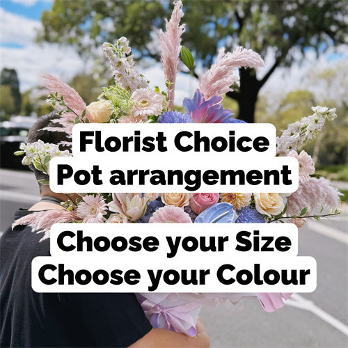 Florist Choice Pot Arrangement - Set your Budget & Colour