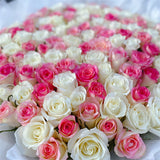99 White & Pink Roses