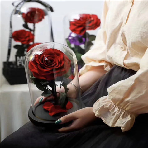 Single Stem Everlasting Preserved Rose Glass Dome (20cmH)丨Preserved Flowers丨Dry Flowers Melbourne