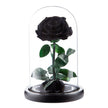 Preserved Single Stem Rose Black (20cmH)