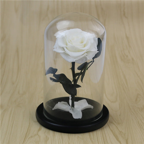 Single Stem Everlasting Preserved White Rose Glass Dome (20cmH)丨Preserved Flowers丨Dry Flowers Melbourne