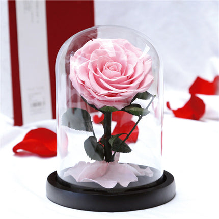 Preserved Single Stem Rose Pink (20cmH)