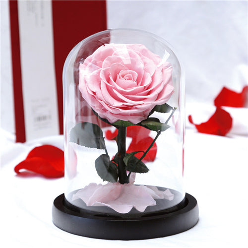 Single Stem Everlasting Preserved Pink Rose Glass Dome (20cmH)丨Preserved Flowers丨Dry Flowers Melbourne