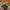 Native Flower Basket - Premium