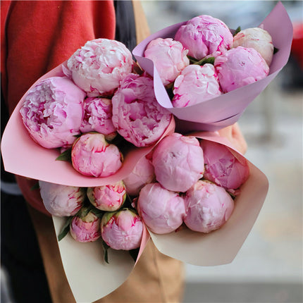Bouquet of #Peonies