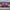 Funeral Casket Spray Flowers #2 80-120cm Seasonal Pink & Purple丨Funeral Flowers delivery Melbourne