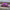 Funeral Casket Spray Flowers #2 80-120cm Seasonal Pink & Purple丨Funeral Flowers delivery Melbourne