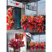 Business Opening Flowers - Modern Style 5 墨尔本开业花篮现代风开业三脚架1.75米