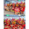 Business Opening Flowers - Modern Style 5 墨尔本开业花篮现代风开业三脚架1.75米