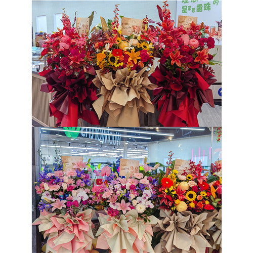 Business Opening Flowers - Modern Style 5 墨尔本开业花篮现代风开业三脚架1.75米