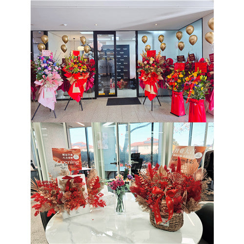 Business Opening Flowers - Modern Style 5 墨尔本开业花篮现代风开业三脚架1.75米