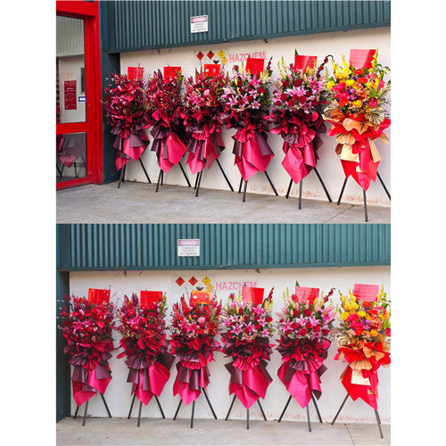 Business Opening Flowers - Modern Style 5 墨尔本开业花篮现代风开业三脚架1.75米