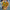 Graduation Flowers丨Sunflowers Fresh Flowers & Graduation Teddy Bouquet #7