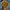 Graduation Flowers丨Sunflowers Fresh Flowers & Graduation Teddy Bouquet #7