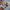 Neutral Everlasting Preserved Flower Basket丨Preserved Flowers丨Dry Flowers Melbourne