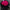 52 Pink Floyd Roses Bouquet (Pre-order ONLY)