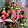 Coral Peonies