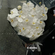 Ice Blue Phalaenopsis Orchids Bouquet