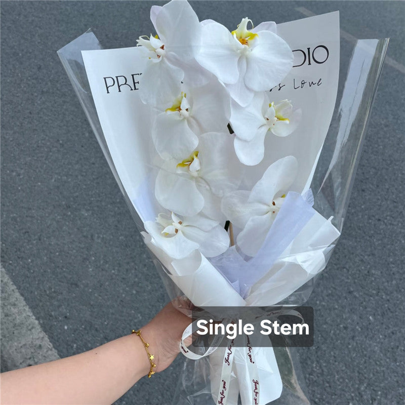 Pale Pink Phalaenopsis Orchids Bouquet