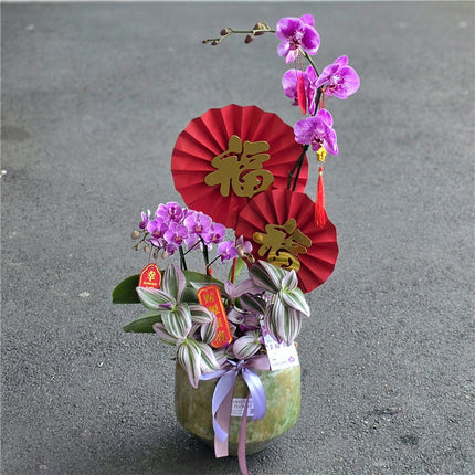 #6CNY 1 x Extra Large & 2 Small Phalaenopsis Orchids & Tradescantia in Porcelain from Jingdezhen (80cm)丨墨尔本年宵花蝴蝶兰丨Lunar New Year Flowers丨Chinese New Year Flowers丨墨尔本新年花