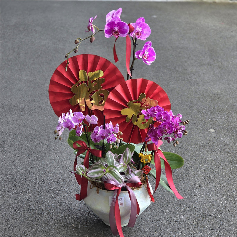 #8CNY 1 x Extra Large & 4 Small Phalaenopsis Orchids & Tradescantia in Porcelain from Jingdezhen (80cm)丨墨尔本年宵花蝴蝶兰丨Lunar New Year Flowers丨Chinese New Year Flowers丨墨尔本新年花
