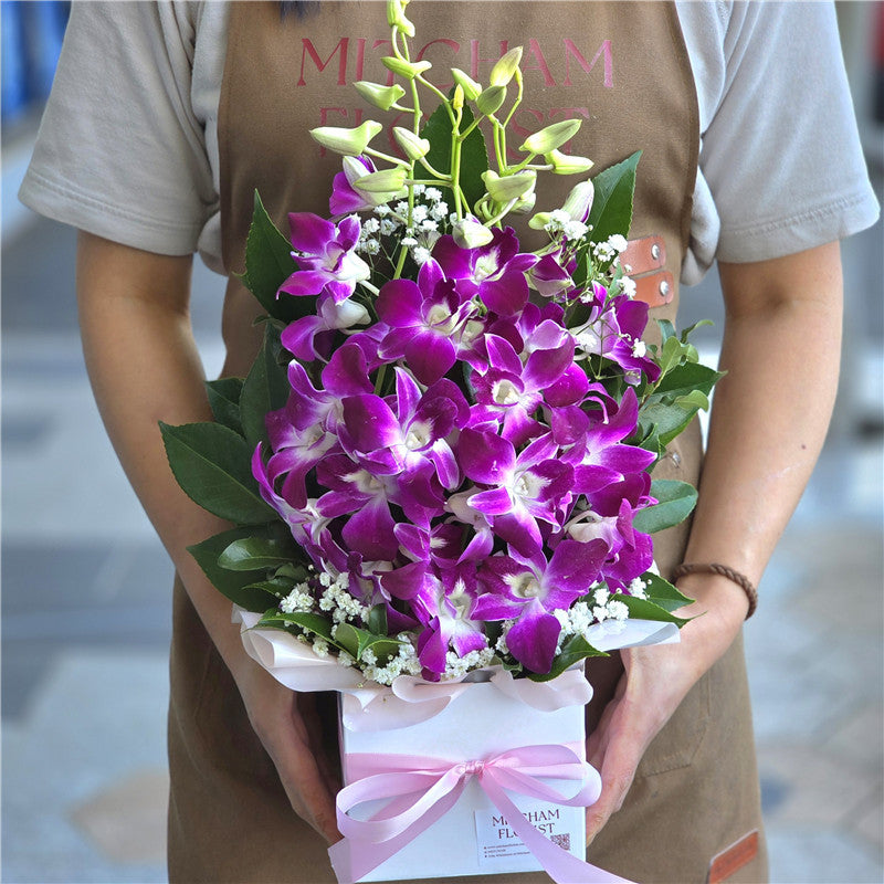 Singapore Orchids Box #Pink Small