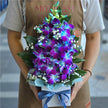 Singapore Orchids Box #Blue Small