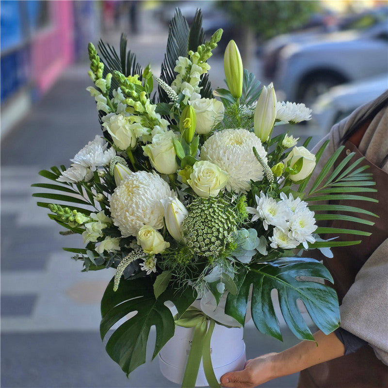 Soft Botanica