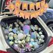 Romantic Car Boot Flowers #10
