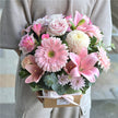 Lovely Melody