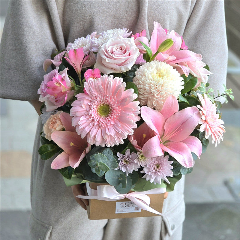 Lovely Melody