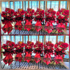 Business Opening Flowers - Modern Style #22 (Economical) 墨尔本开业花篮现代风开业三脚架1.6米经济款