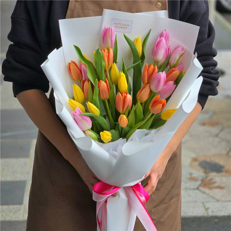 Lovely Tulips