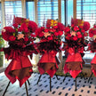 Business Opening Flowers - Modern Style #22 (Economical) 墨尔本开业花篮现代风开业三脚架1.6米经济款