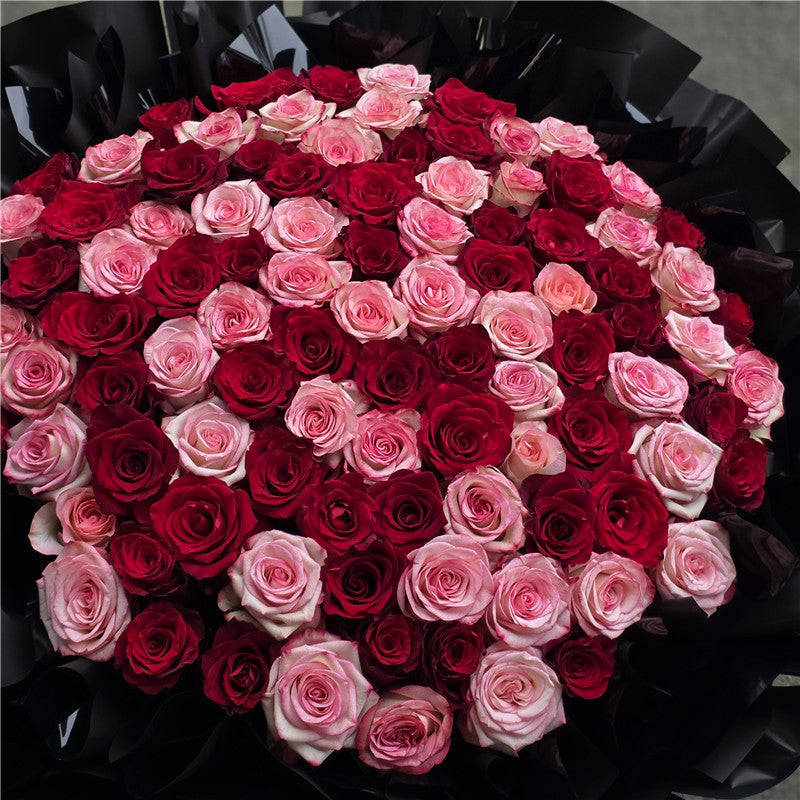 99 Red & Pink Roses