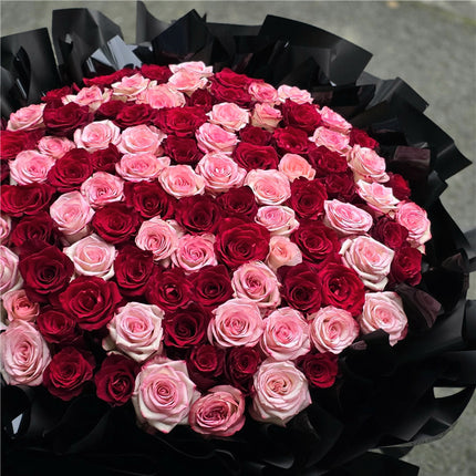 99 Red & Pink Roses
