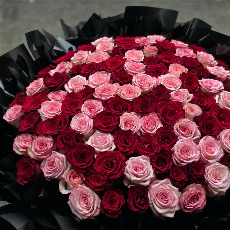99 Red & Pink Roses