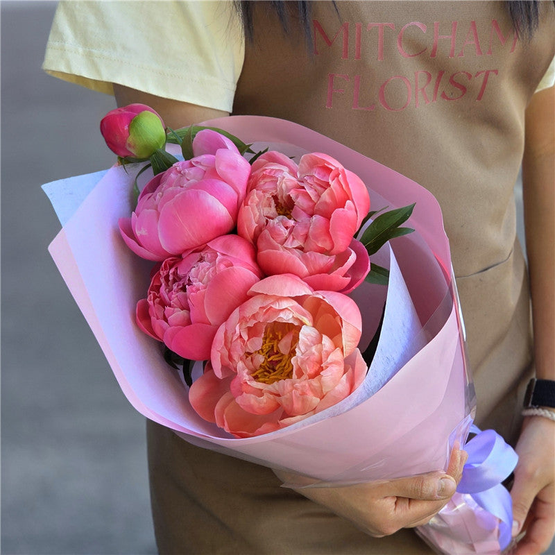 New Season! Coral Peonies