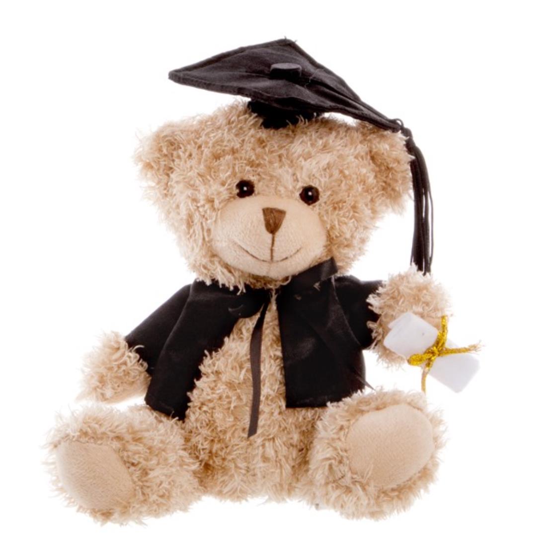 Graduation Teddy 25cm