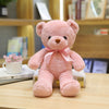 Cute Pink Teddy 28cm