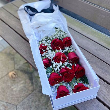 Luxury 11 Roses & Gyp Gift Box