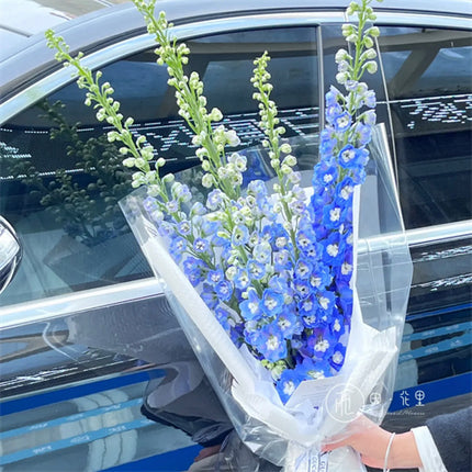 Bouquet of #Tall Delphiniums