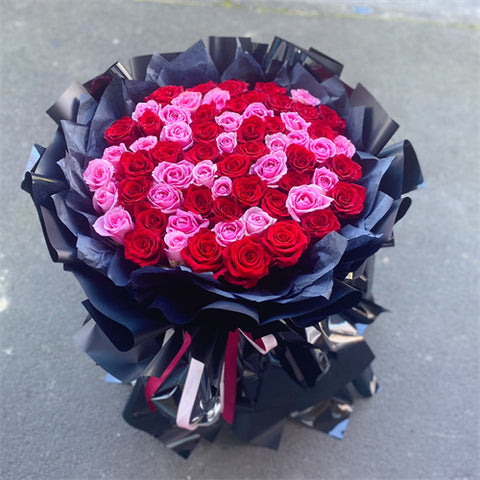 66 Red & Pink Roses