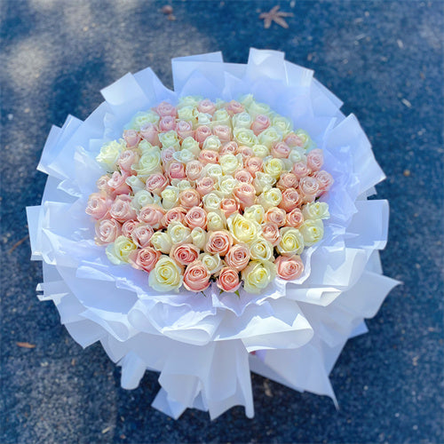 99 White & Pink Roses