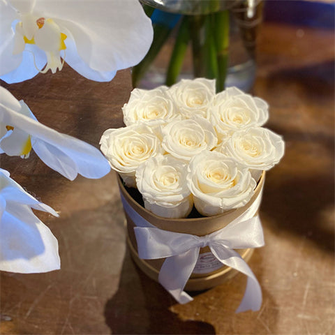 Preserved Rose HatBox - 8 White roses