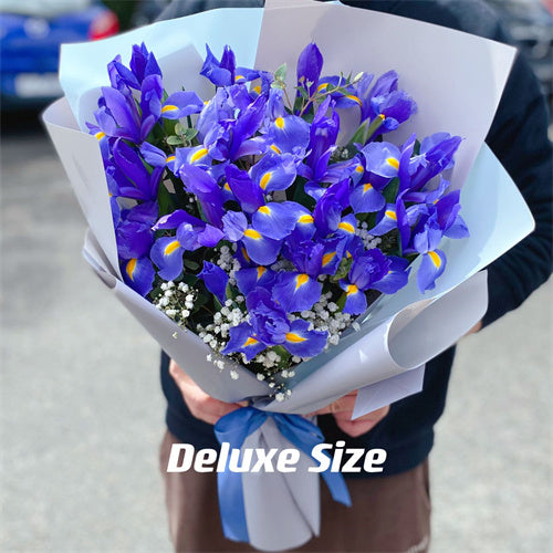Bouquet of #Iris