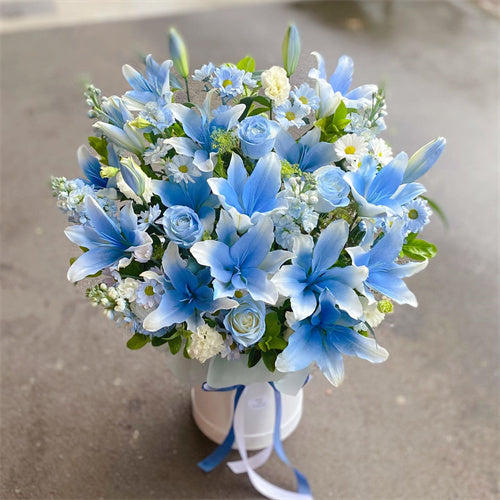 Ice Blue Dream Hatbox Deluxe