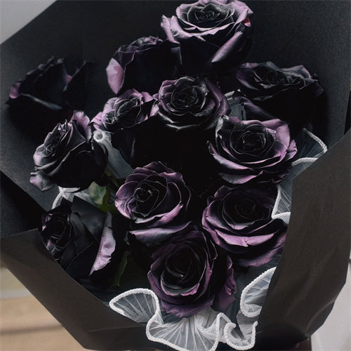 12 Dark Plum Rose Bouquet