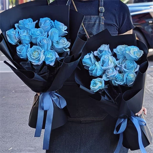 12 Ice Blue Roses (Black Style)